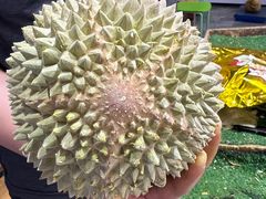 -曼阁市场水果批发市场