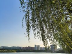 -天鹅湖体育公园