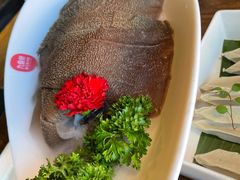 九鼎招牌脆毛肚-九鼎轩脆毛肚火锅(三钢里店)