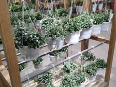 -鹿岛会员店 (龙湖三千集天街店)