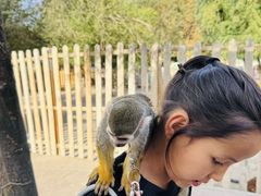 -水上乐园·欢乐世界