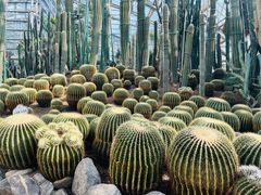 -南山植物园