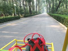 -顺鑫绿色度假村