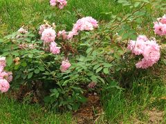 -长春市南湖公园