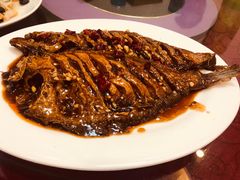 -林之六八·6886大连老菜馆