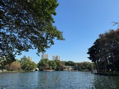 -荔湾湖公园
