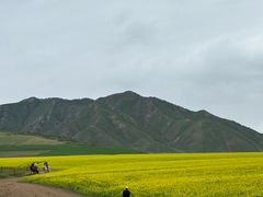 -扁都口生态休闲旅游区