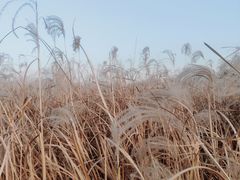 -汉长安城未央宫国家考古遗址公园