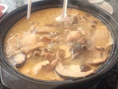 -蘑统田下·野生菌火锅