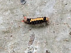 -白石龙音乐公园