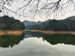 -千岛湖龙川湾
