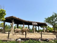 -上海野生动物园