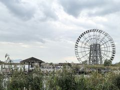 -苏州太湖湖滨国家湿地公园