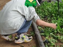 -大连北马山庄