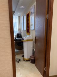 -碧莲盛·不剃发植发