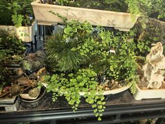 -川旺角川粤融合菜•海景餐厅(星海广场店)