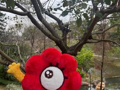 -云溪植物园