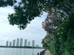 -燕鸣岛