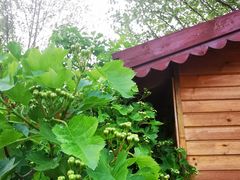 -济南国际园博园