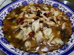 -丁老爷子苏香圆