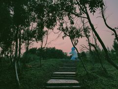 -漳州滨海火山岛自然生态风景区