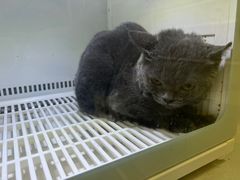 -沐沐家宠物(成寿寺店)