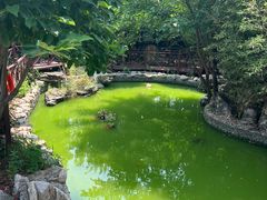 -老城味道·传统天津菜(杨柳青店)