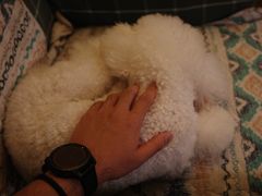 -默迹咖啡馆