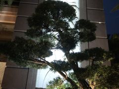 -惠州康帝国际酒店