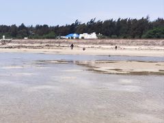 -北海金海湾红树林生态旅游区