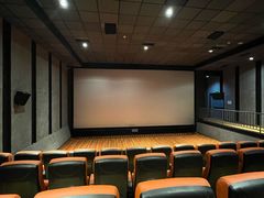 -华美国际影城(旧宫永辉店)