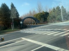 -黄海国家森林公园