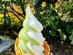 -豆政(金閣寺境内売店)