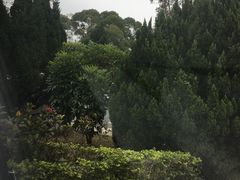 -大埔公路-马料水段香港中文大学(公交站)