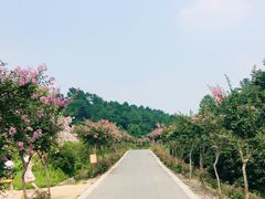 -白马涧龙池景区