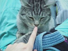 -菠萝格斗巴西柔术训练馆