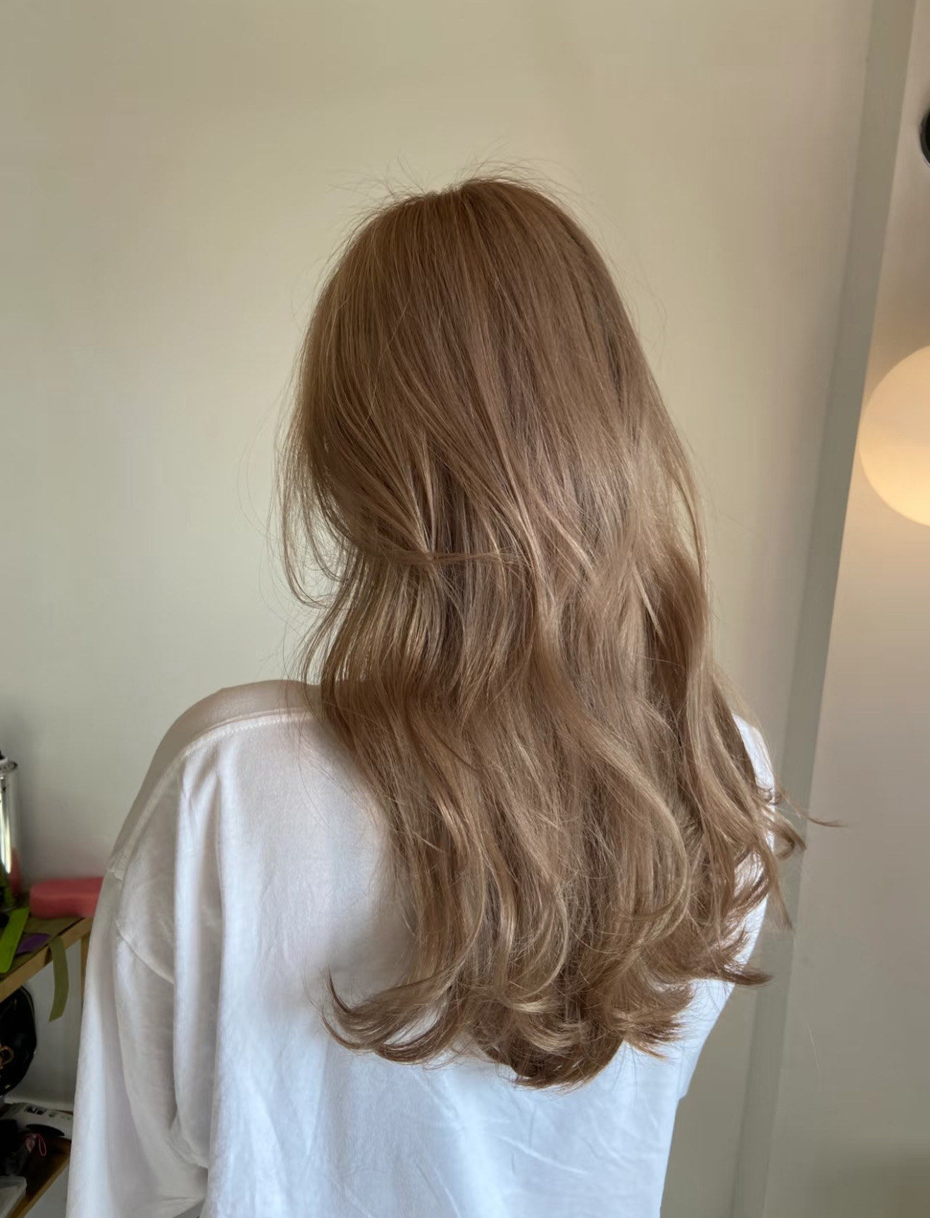 奶茶色发色,如同其名般温柔.它似一杯香醇