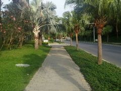 -三亚亚龙湾红树林度假酒店