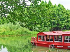 -溱湖国家湿地公园