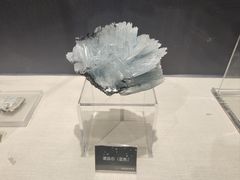 -中国地质博物馆