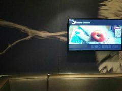 -麦克小熊时尚量贩KTV(神道口店)