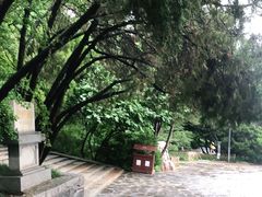 -蓬莱阁景区