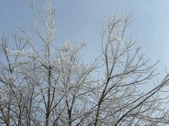 -沈阳奥体冰雪嘉年华