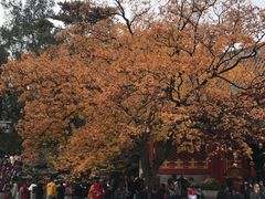 -香山公园-东宫门售票处