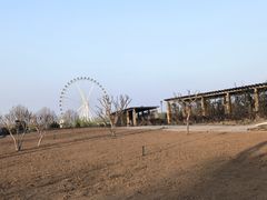 -石家庄市植物园