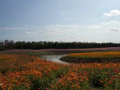 -上海长兴岛郊野公园