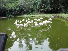 -广州动物园