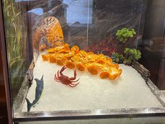 -圣琼美食百汇自助餐厅(坦洲店)