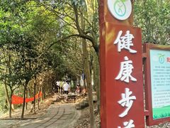 -凤栖山