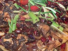 -老板恋上鱼(恒隆广场店)